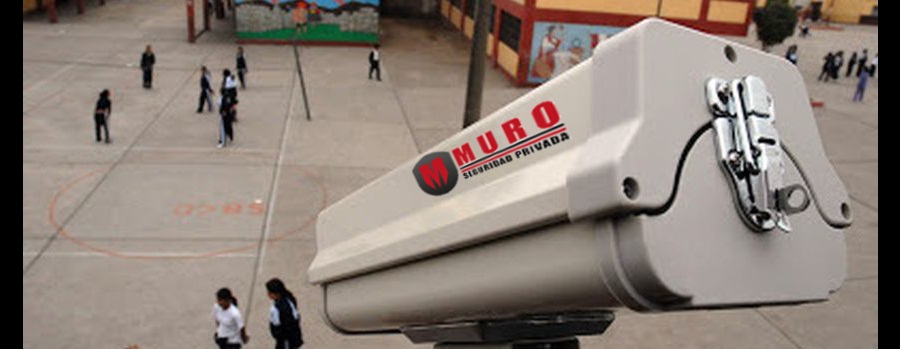 Seguridad privada Colegio